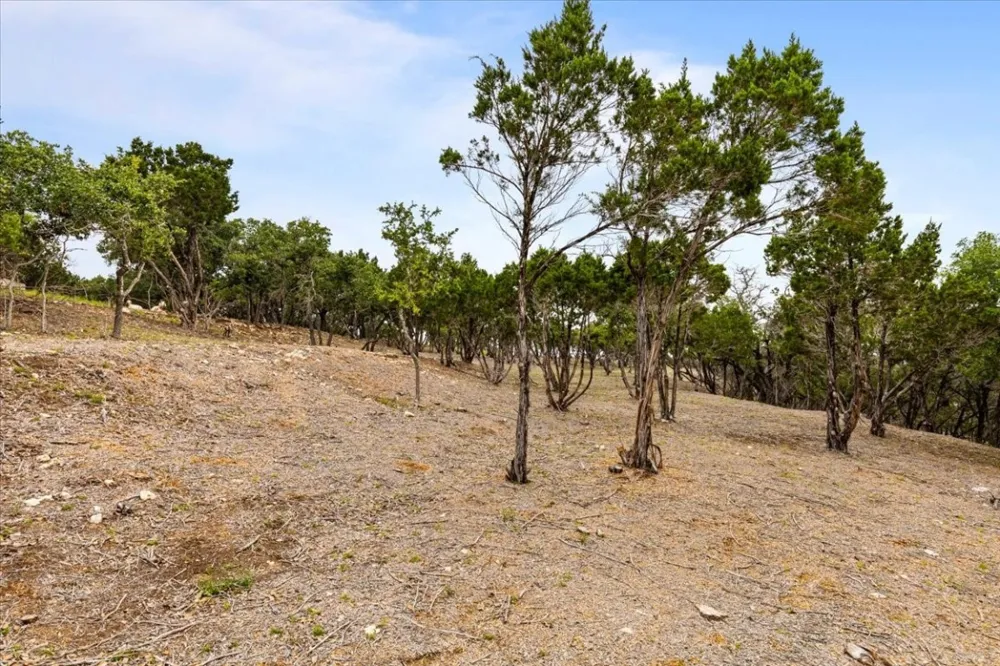 4519 Crawford Road Spicewood, TX 78669