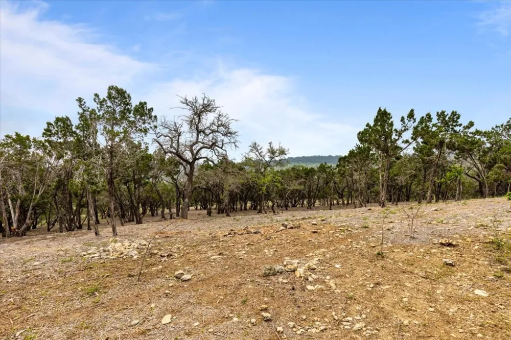 4519 Crawford Road Spicewood, TX 78669