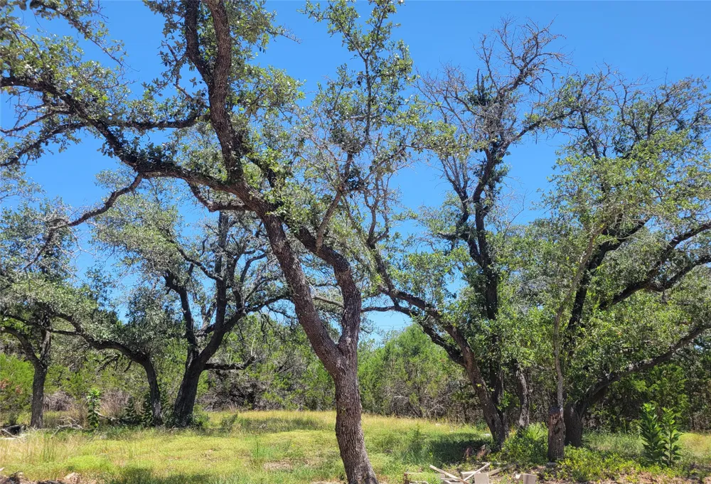 638 Bonita Drive Blanco, TX 78606
