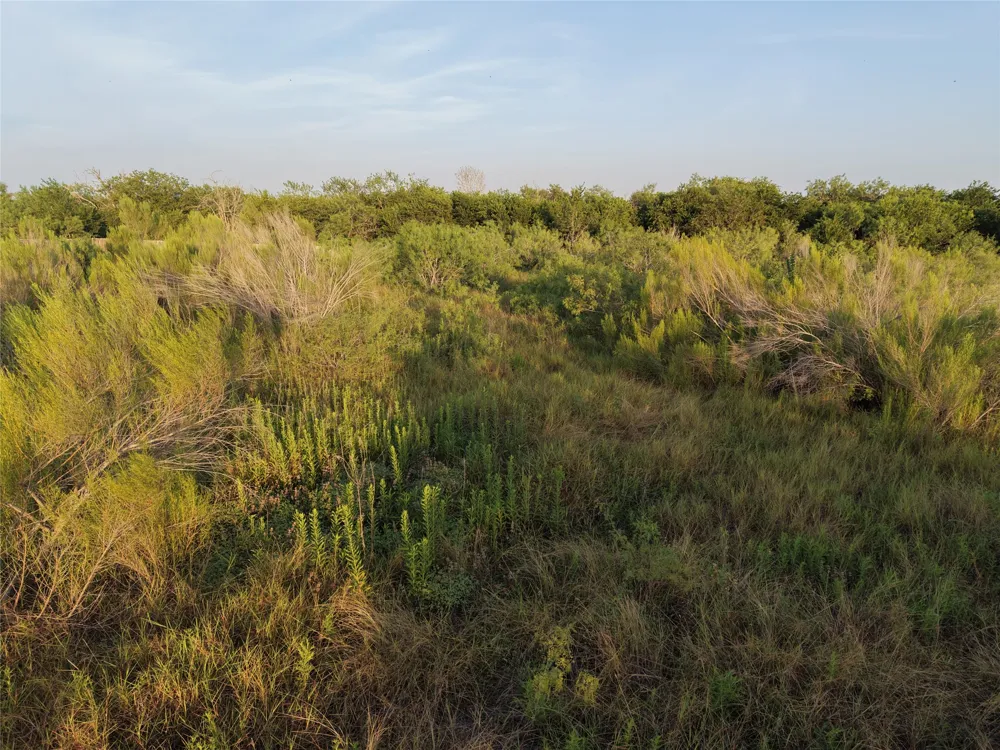 232 E Ridge Lane Kyle, TX 78640
