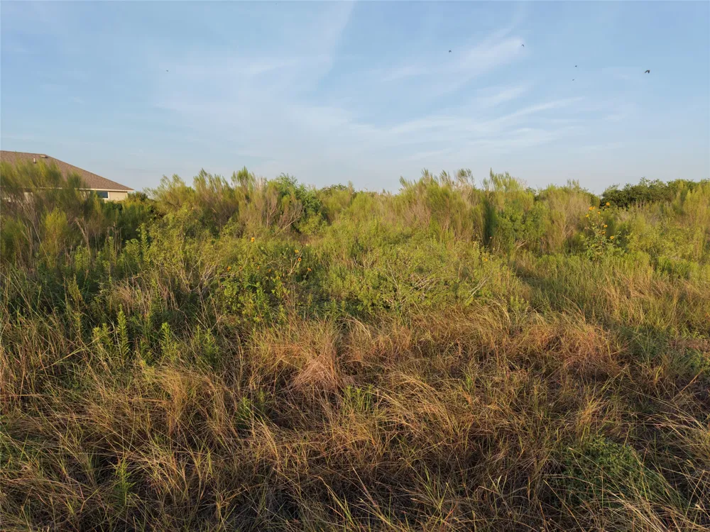 232 E Ridge Lane Kyle, TX 78640