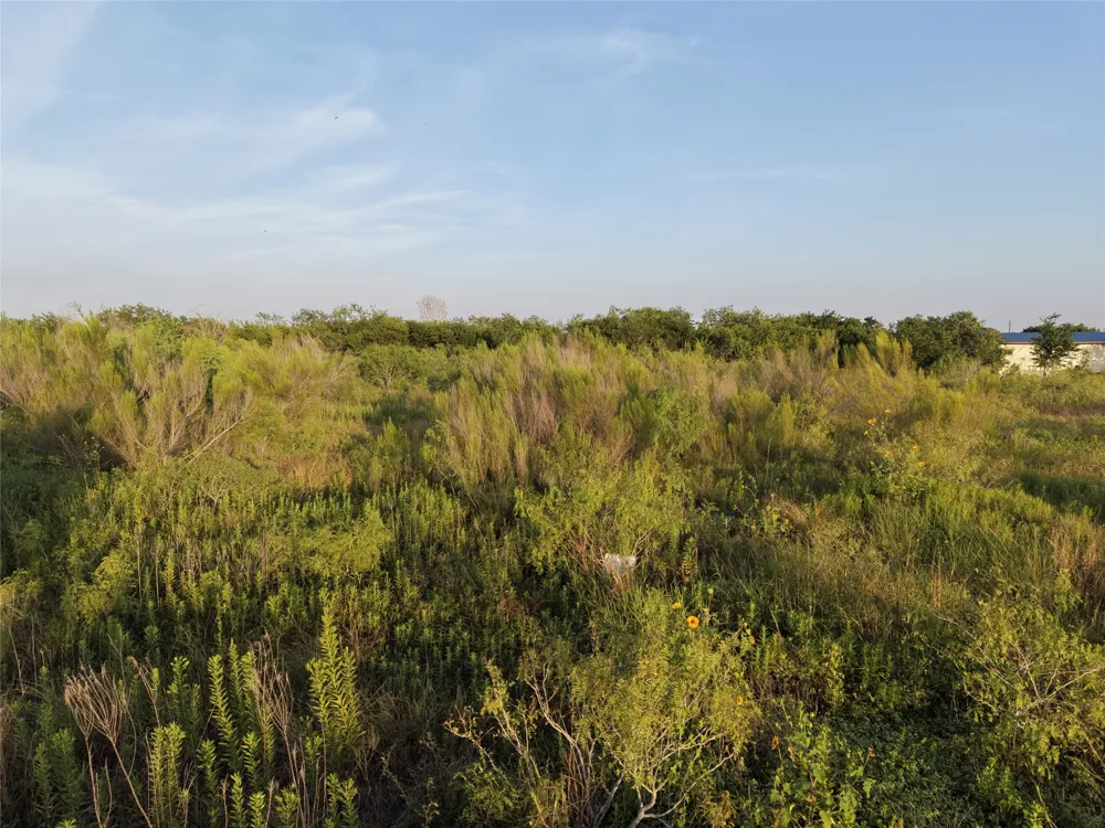 232 E Ridge Lane Kyle, TX 78640