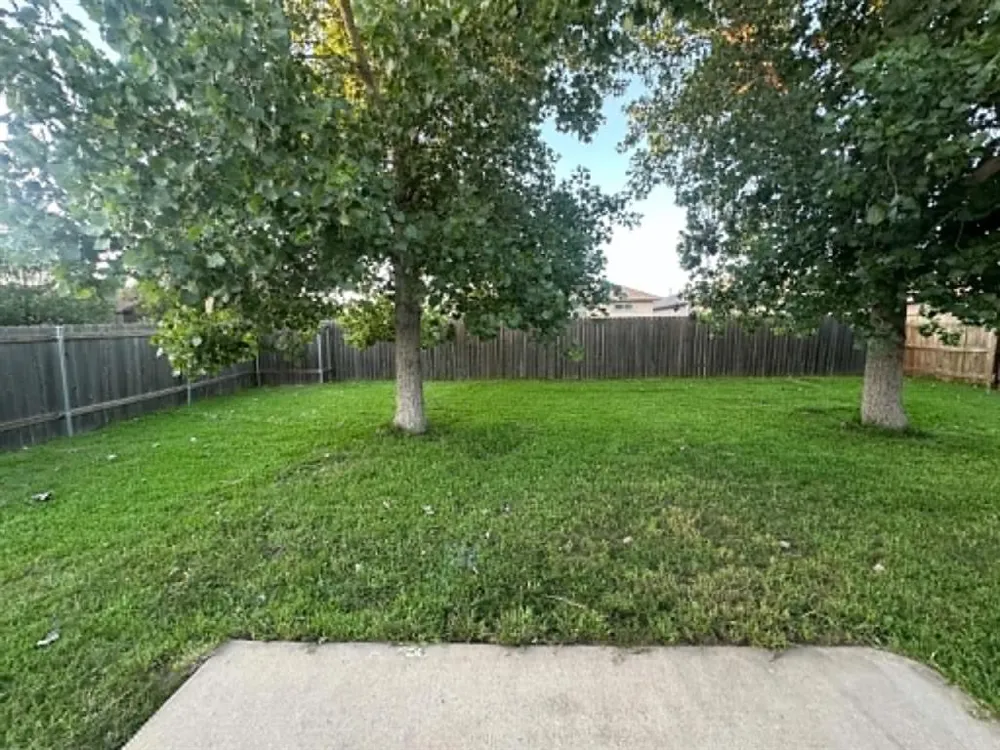 18312 Crestwind Lane Elgin, TX 78621