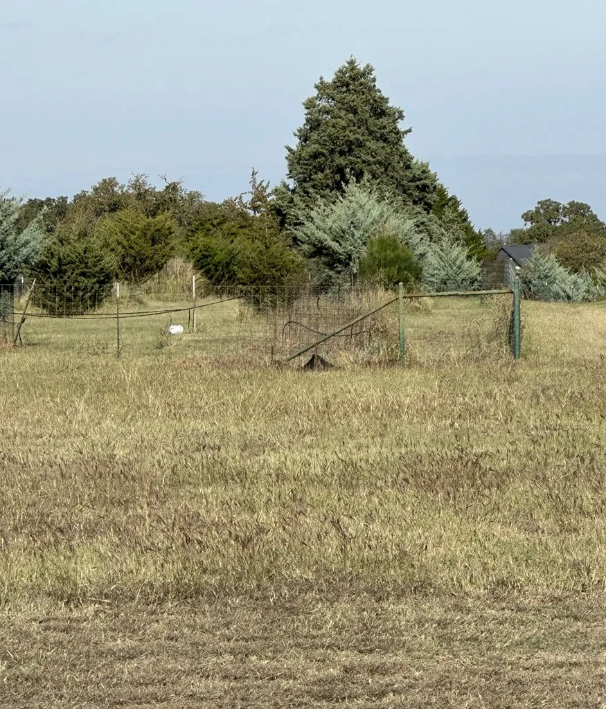 228 Interlaken Street Fredericksburg, TX 78624