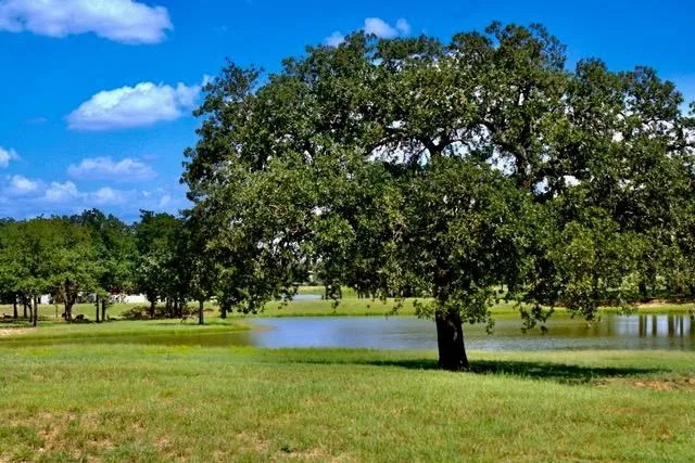 228 Interlaken Street Fredericksburg, TX 78624