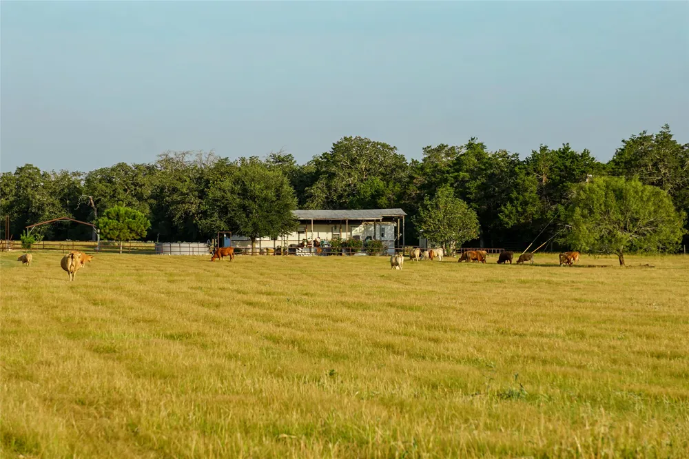 4504 State Highway 304 Rosanky, TX 78953