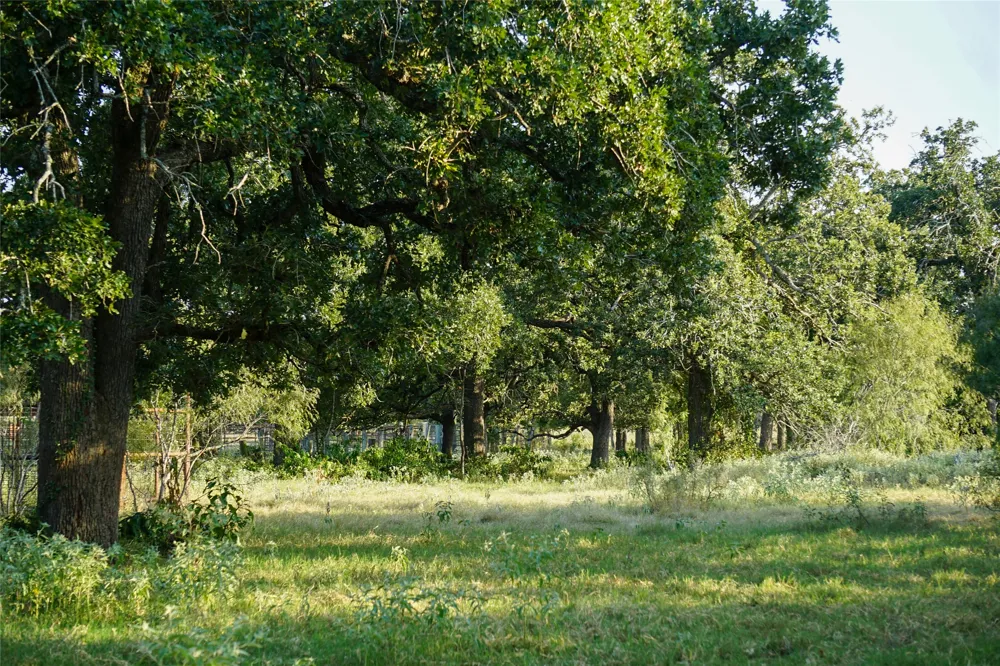 4504 State Highway 304 Rosanky, TX 78953