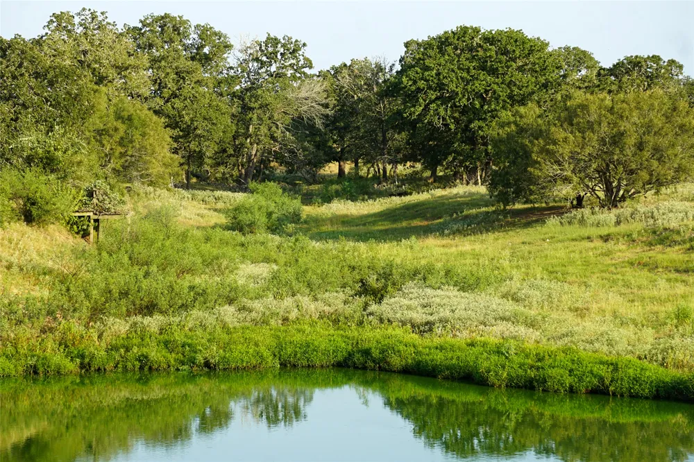 4504 State Highway 304 Rosanky, TX 78953