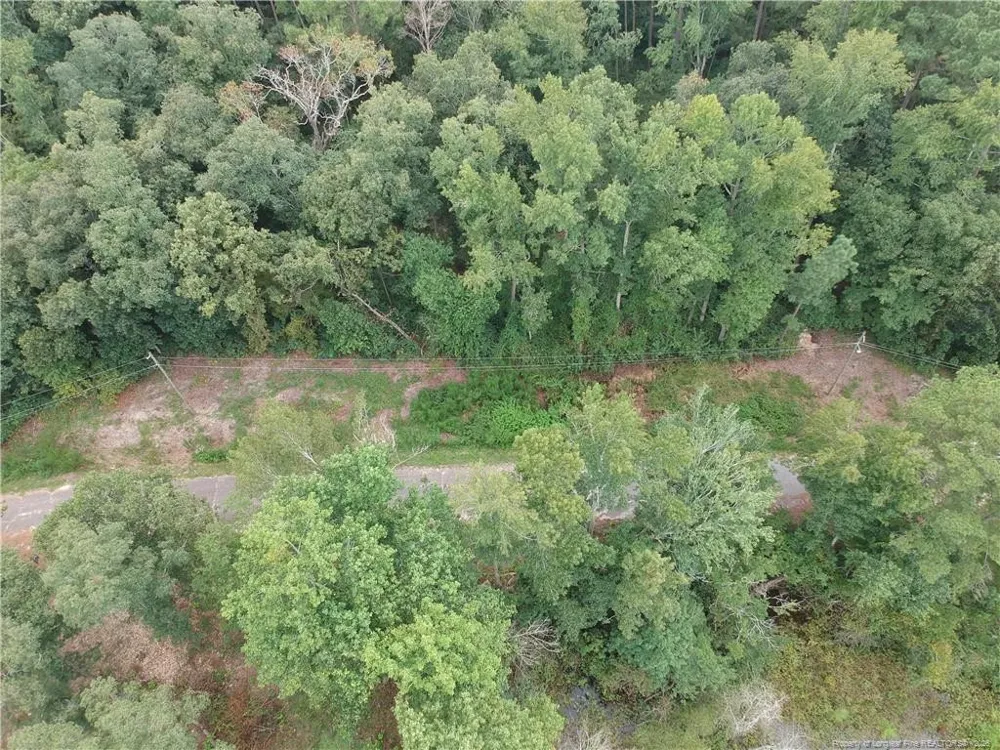 Lot A-8 Lakeview Drive Red Springs, NC 28377