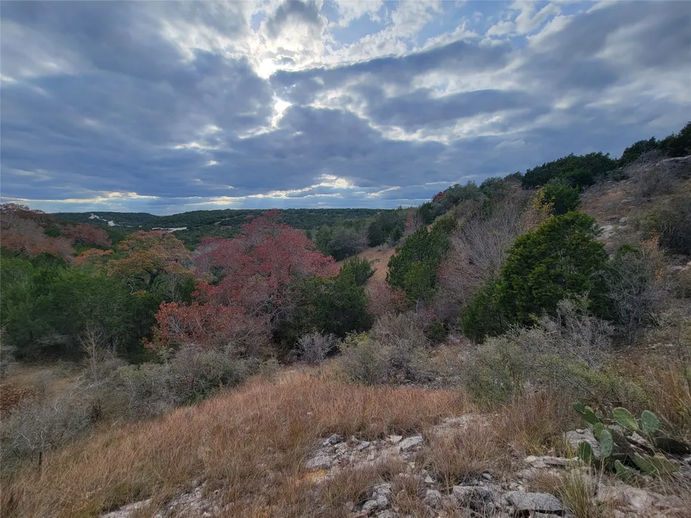 Sierra Drive Bertram, TX 78605
