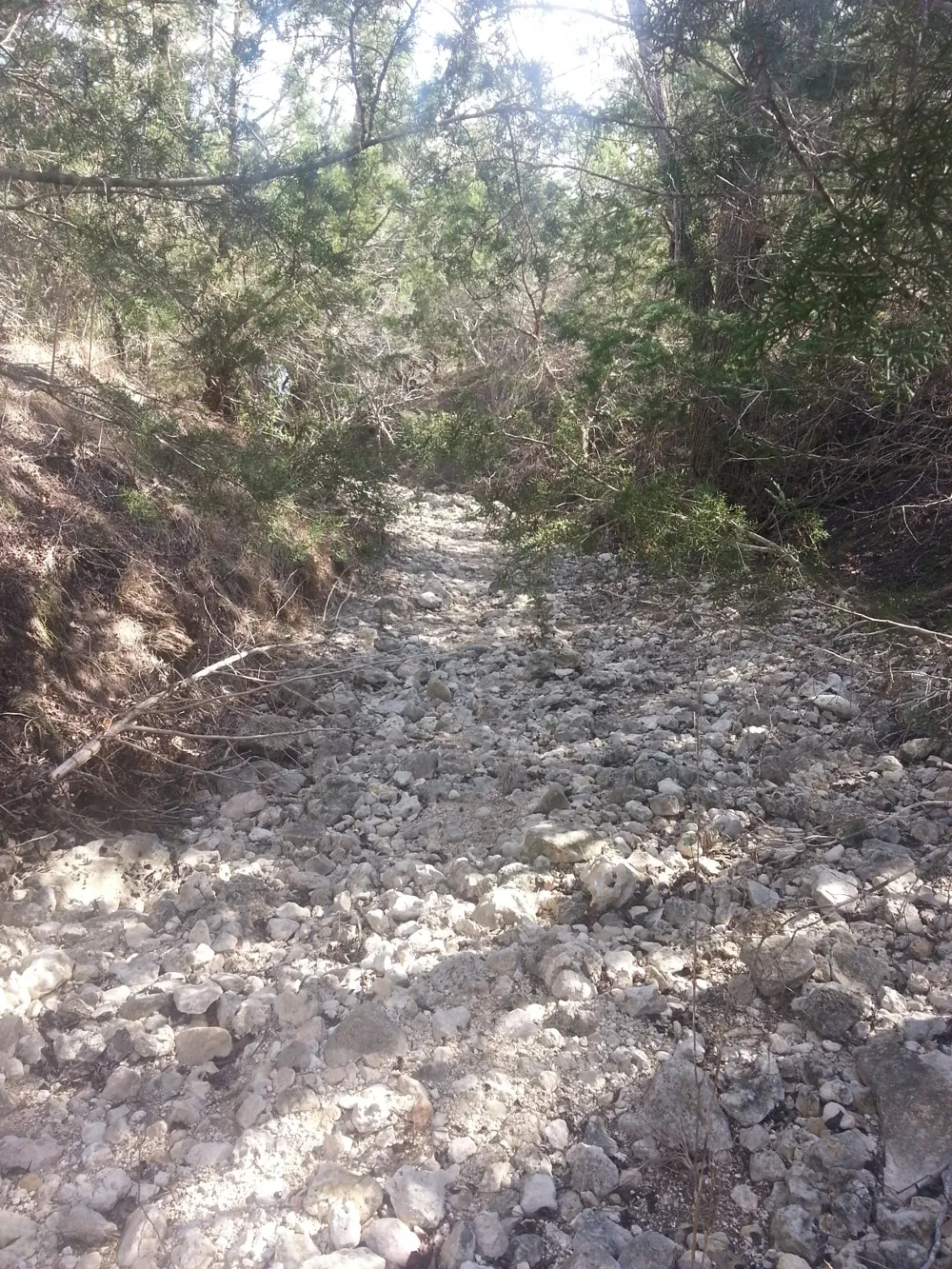 Sierra Drive Bertram, TX 78605