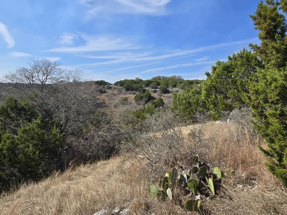Sierra Drive Bertram, TX 78605