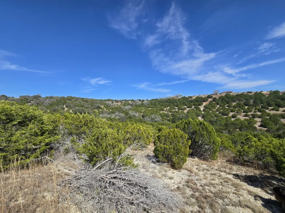 Sierra Drive Bertram, TX 78605