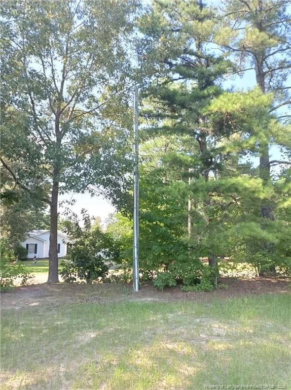 112 Lakeview Drive Red Springs, NC 28377