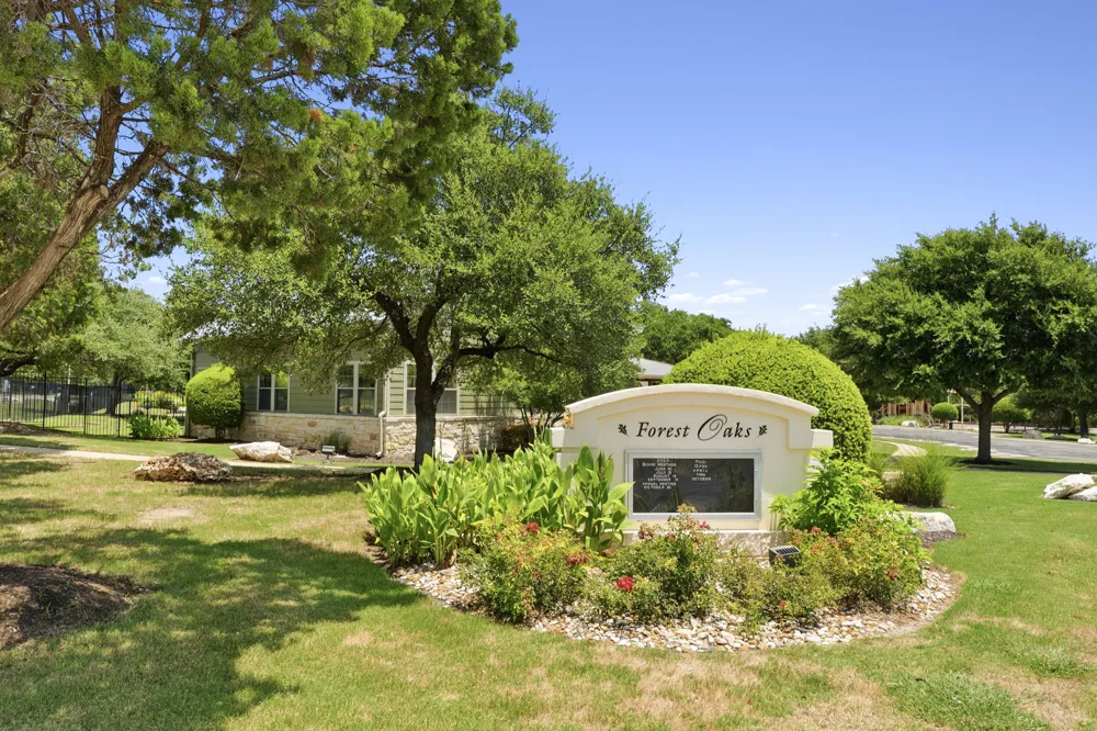 511 Mandarin Flyway Cedar Park, TX 78613