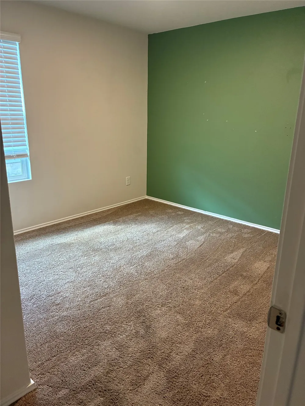 319 Shimmering Cove San Marcos, TX 78666