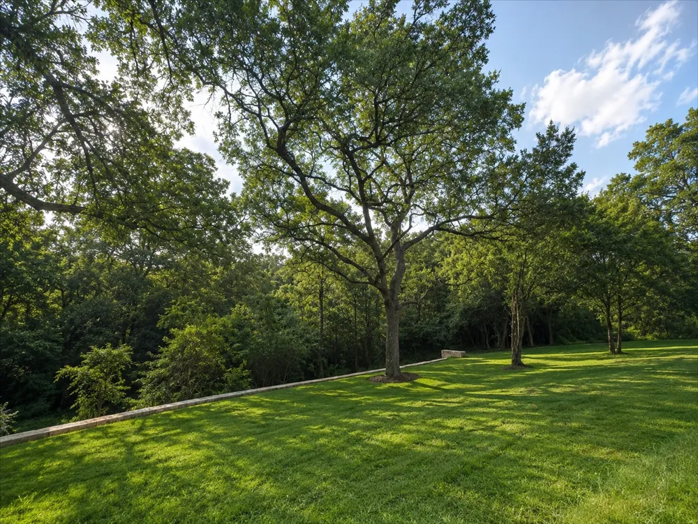 185 Pecos Street Cedar Creek, TX 78612