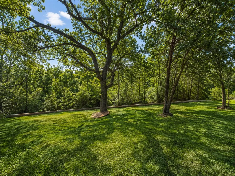 185 Pecos Street Cedar Creek, TX 78612
