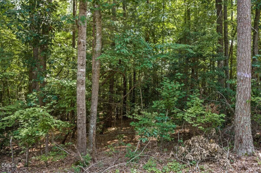 00 S Holiday Drive Macon, NC 27551