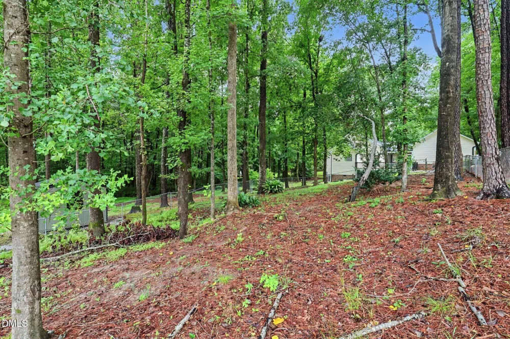 307 Gordon Farm Drive Benson, NC 27504