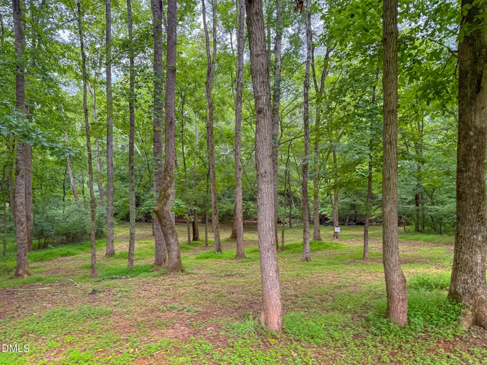 5923 Rivers Bend Drive Rougemont, NC 27572