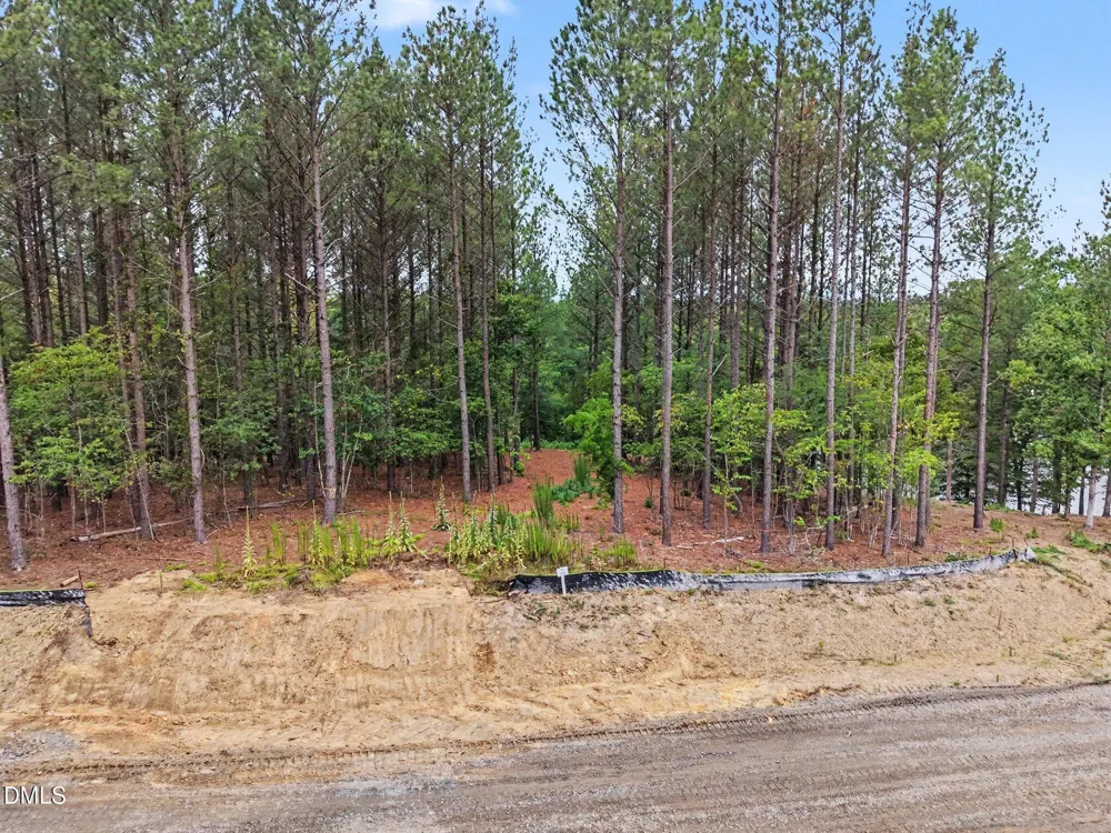 116 Windsail Point Semora, NC 27343