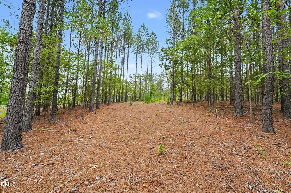 116 Windsail Point Semora, NC 27343
