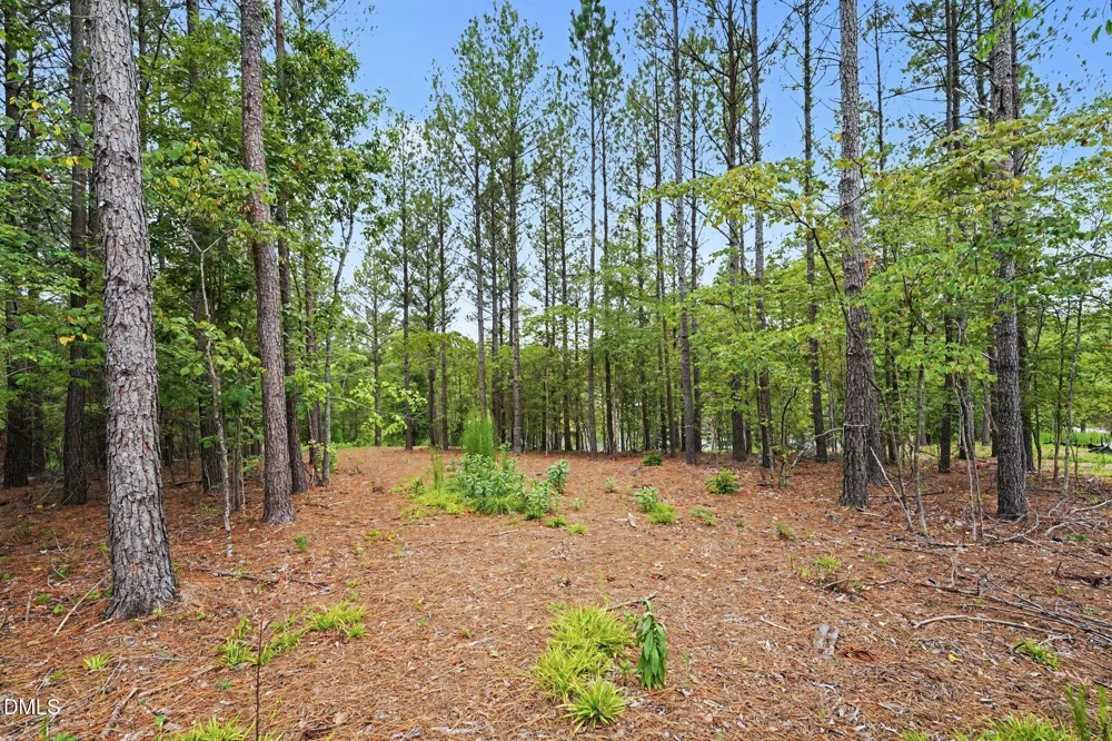 116 Windsail Point Semora, NC 27343
