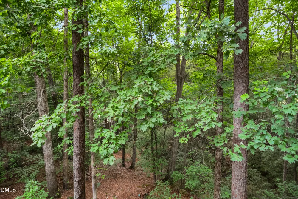 3419 Oak Trail Clayton, NC 27520