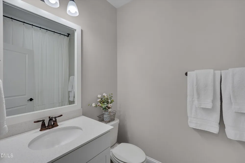 2517 Great Daisy Lane New Hill, NC 27562