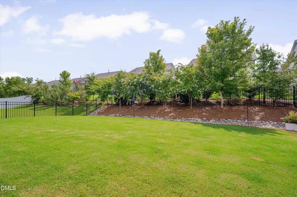 2517 Great Daisy Lane New Hill, NC 27562