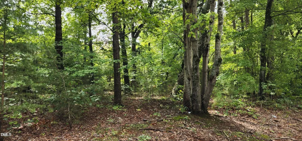4501 Lot 1 Mill Creek Road Cedar Grove, NC 27231