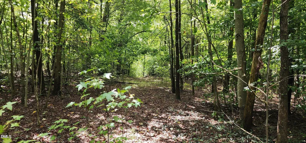 4501 Lot 1 Mill Creek Road Cedar Grove, NC 27231