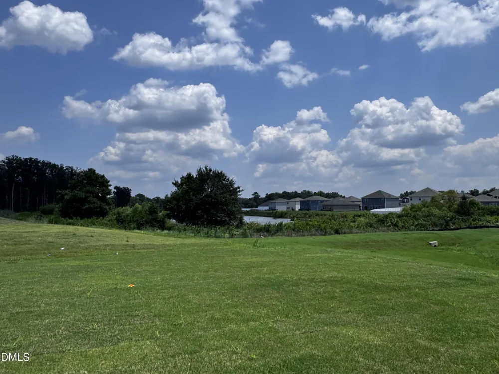 50 Thistle Patch Place Angier, NC 27501