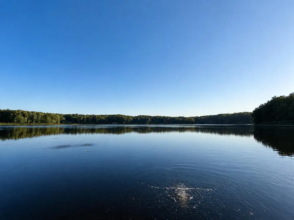 27661 Pine Lake Street Edwardsburg, MI 49112