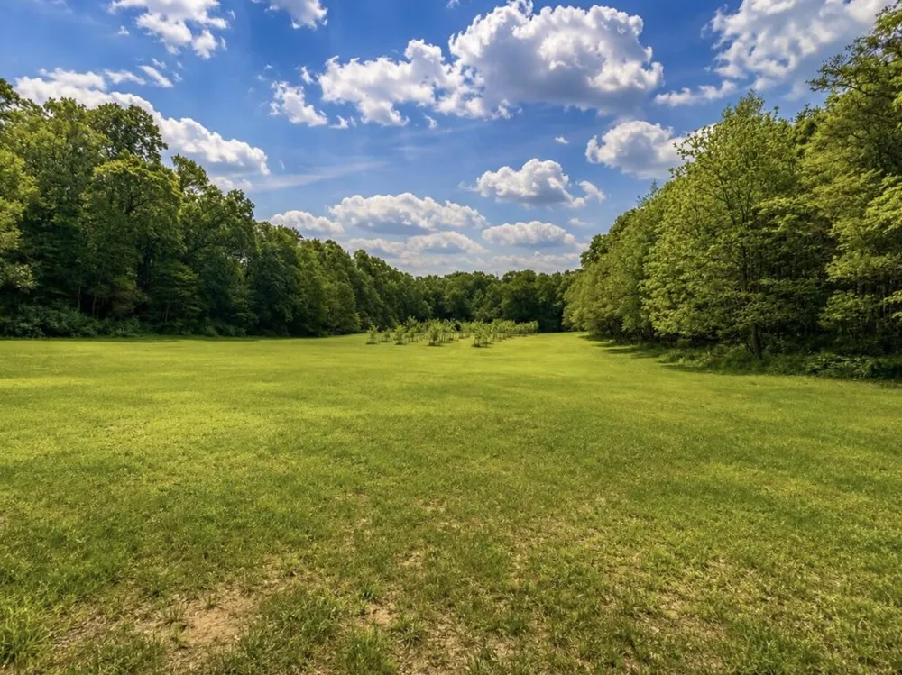 27661 Pine Lake Street Edwardsburg, MI 49112