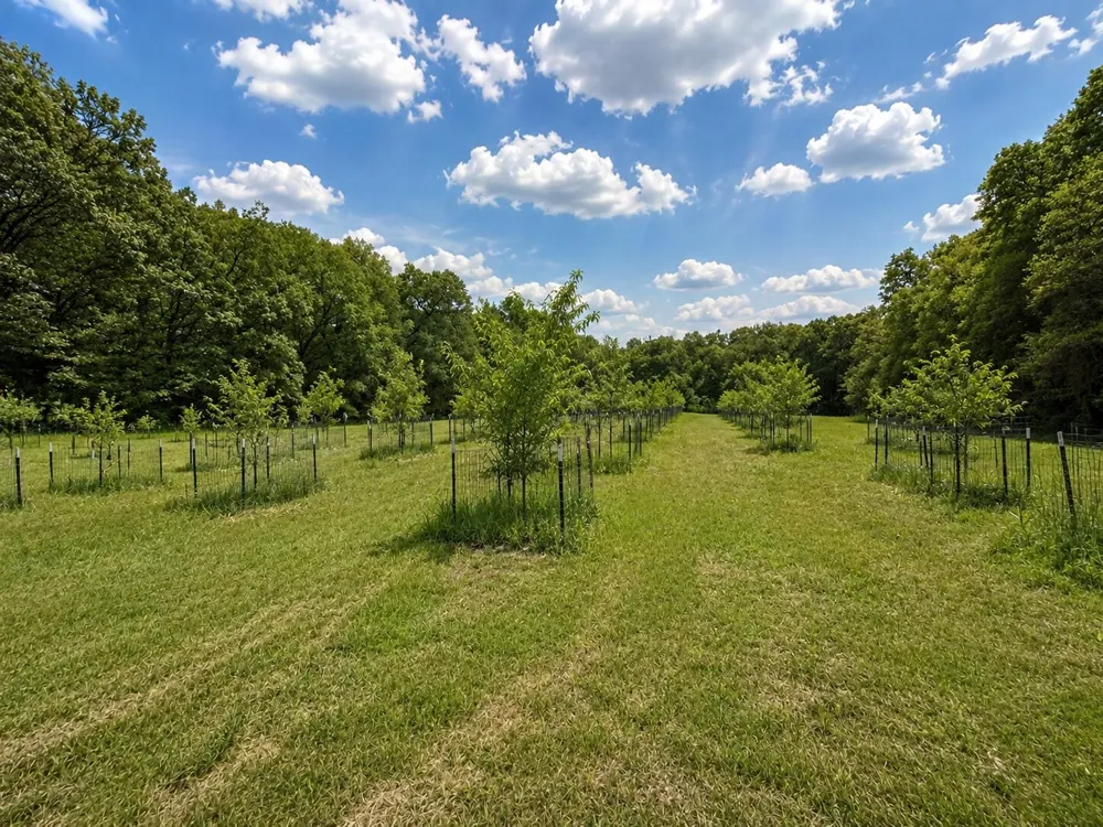 27661 Pine Lake Street Edwardsburg, MI 49112