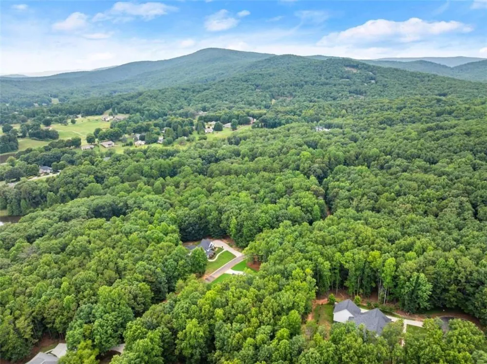 708 Plum Lane Clarkesville, GA 30523