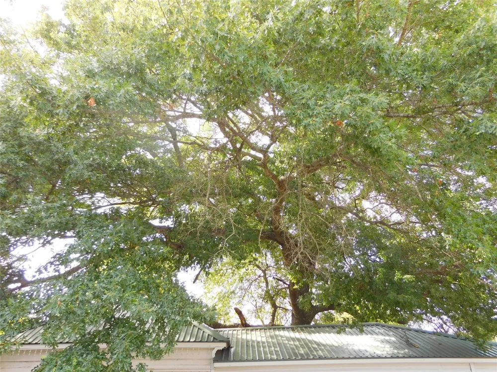 106 1st Street W Dawson, TX 76639