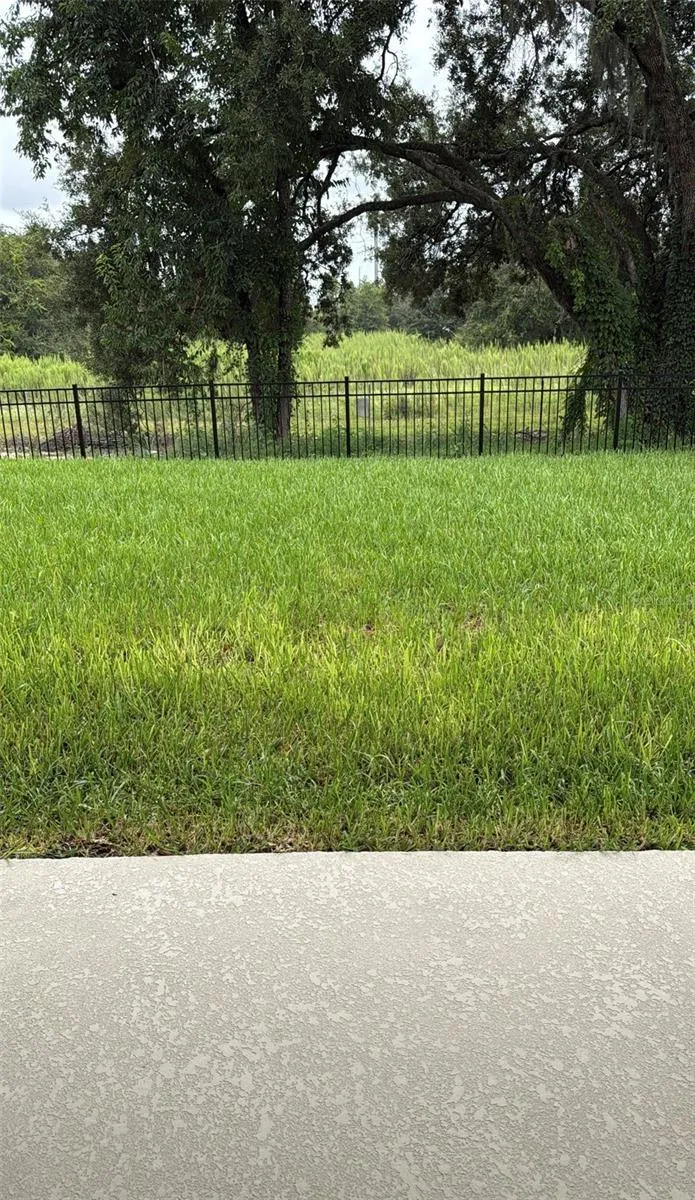 15075 TEA TREE DRIVE Winter Garden, FL 34787