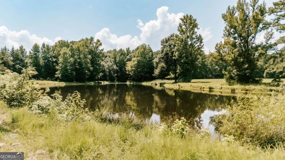 6 Burt RD Carlton, GA 30627