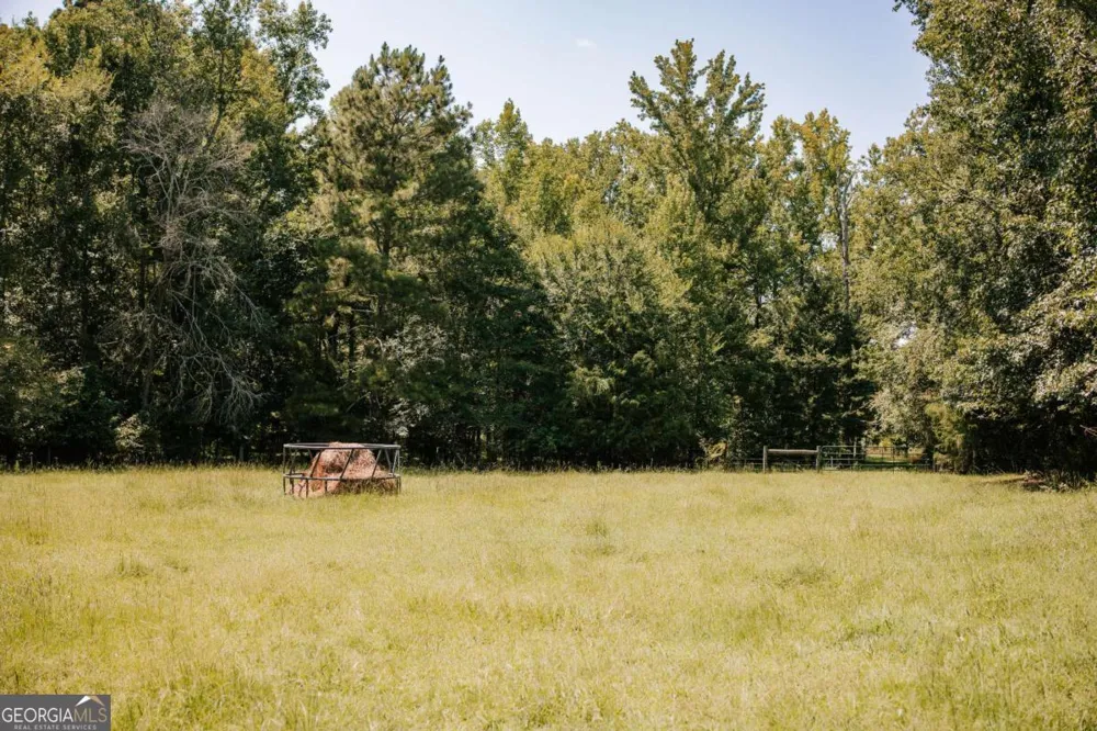 6 Burt RD Carlton, GA 30627