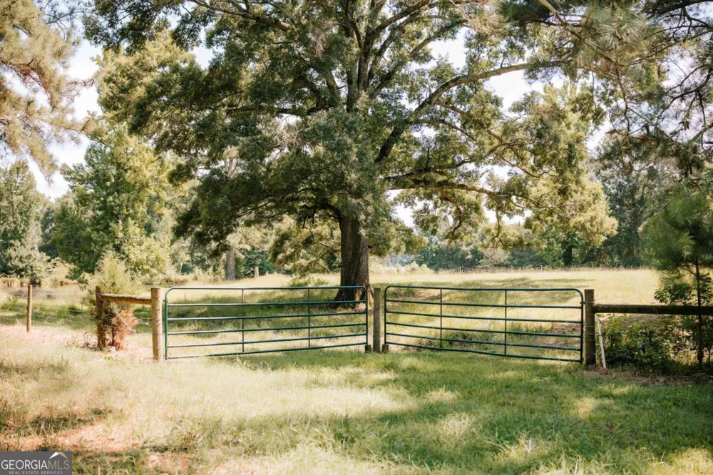 6 Burt RD Carlton, GA 30627