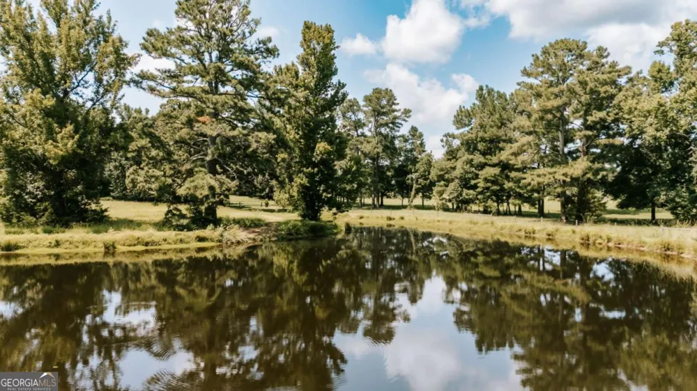 6 Burt RD Carlton, GA 30627