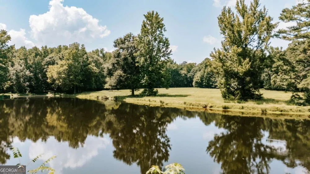 6 Burt RD Carlton, GA 30627