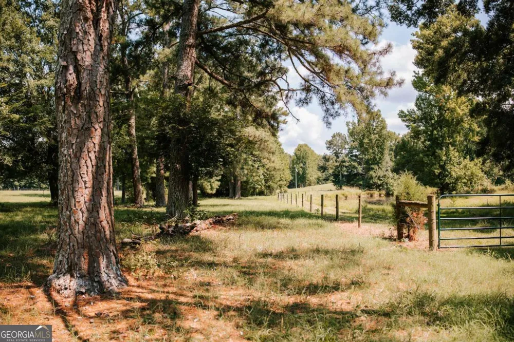 6 Burt RD Carlton, GA 30627