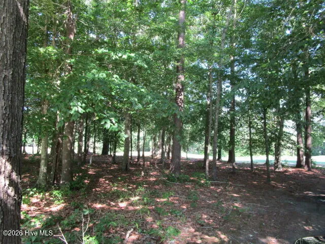 Lot 1 Roanoke Drive W Hertford, NC 27944