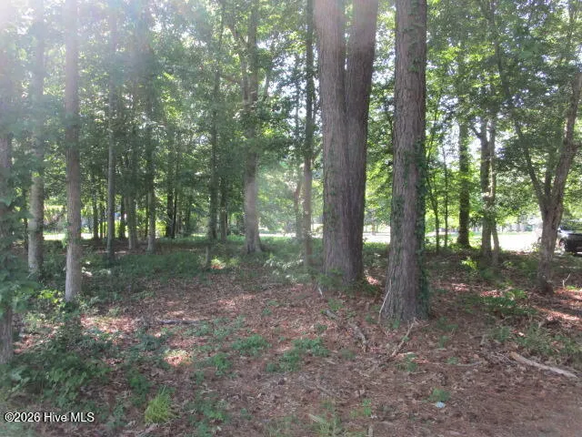 Lot 1 Roanoke Drive W Hertford, NC 27944