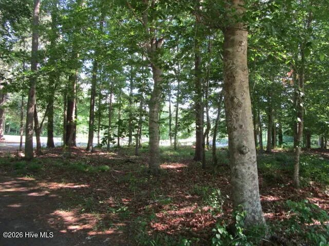 Lot 1 Roanoke Drive W Hertford, NC 27944