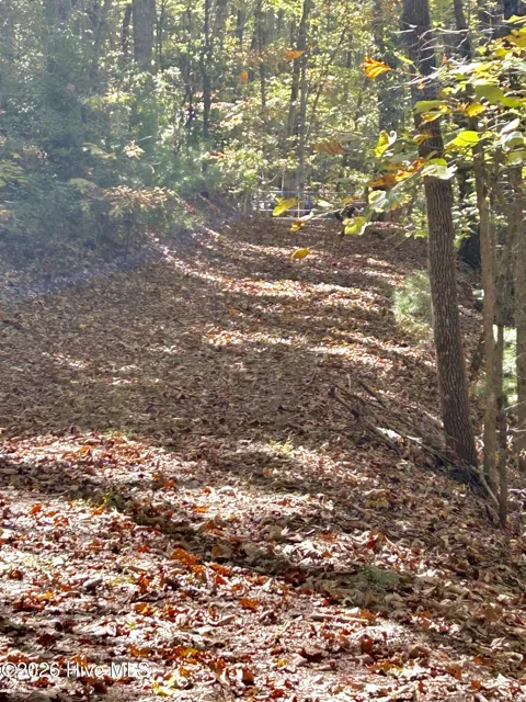 Lot 1,2 Royal Oaks Trail
